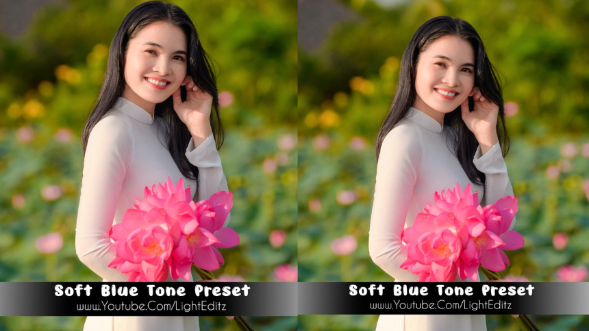 lightroom preset